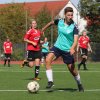 Bornaer SV 91 - ZFC Meuselwitz i, S. 20.09.2020  (5)